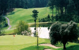 Golfe
