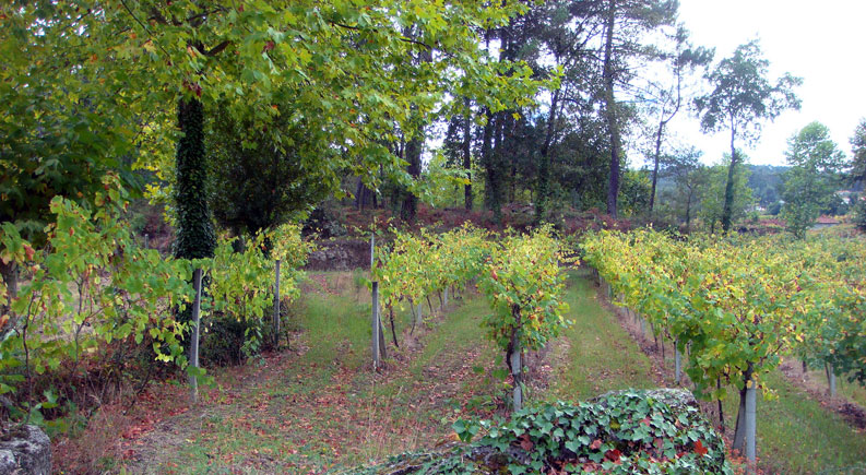 Agroturismo
